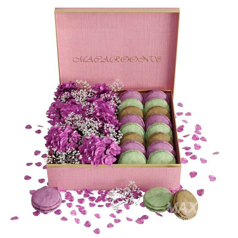 Box macarons 01 - Image 1