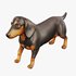 dachshund - Thumbnail 4