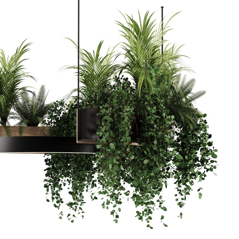 Indoorplants-Hanging plants set-83 - Image 5