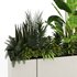 Indoorplants-Plants in Boxset150 - Thumbnail 3