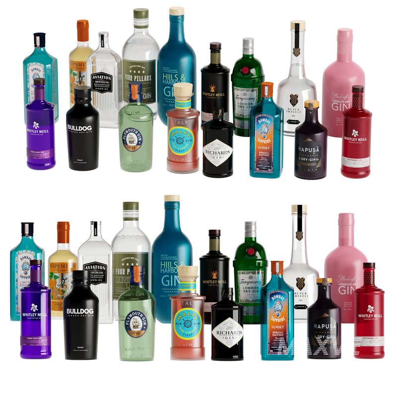 Bottles -40 Bottles:Gins,Rum,Congac - Image 1