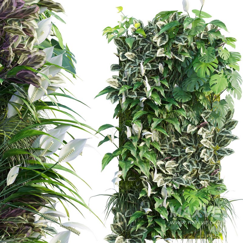 Vertical garden 19 - Image 1
