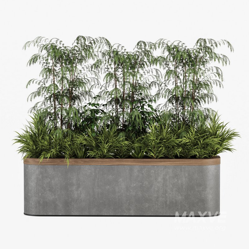 Plants In Box set-151 - Image 5