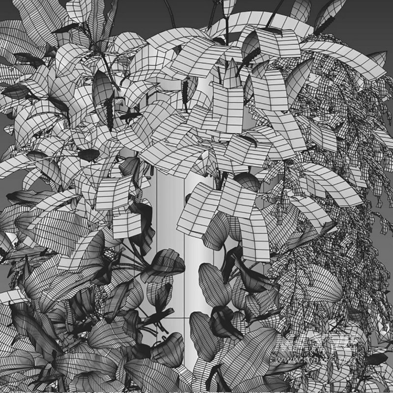 Verticalgarden 32 - Image 2