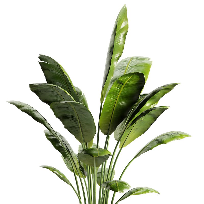 Modern Indoor Planter - Image 2