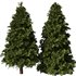 Pine Tree Set28 - Thumbnail 1