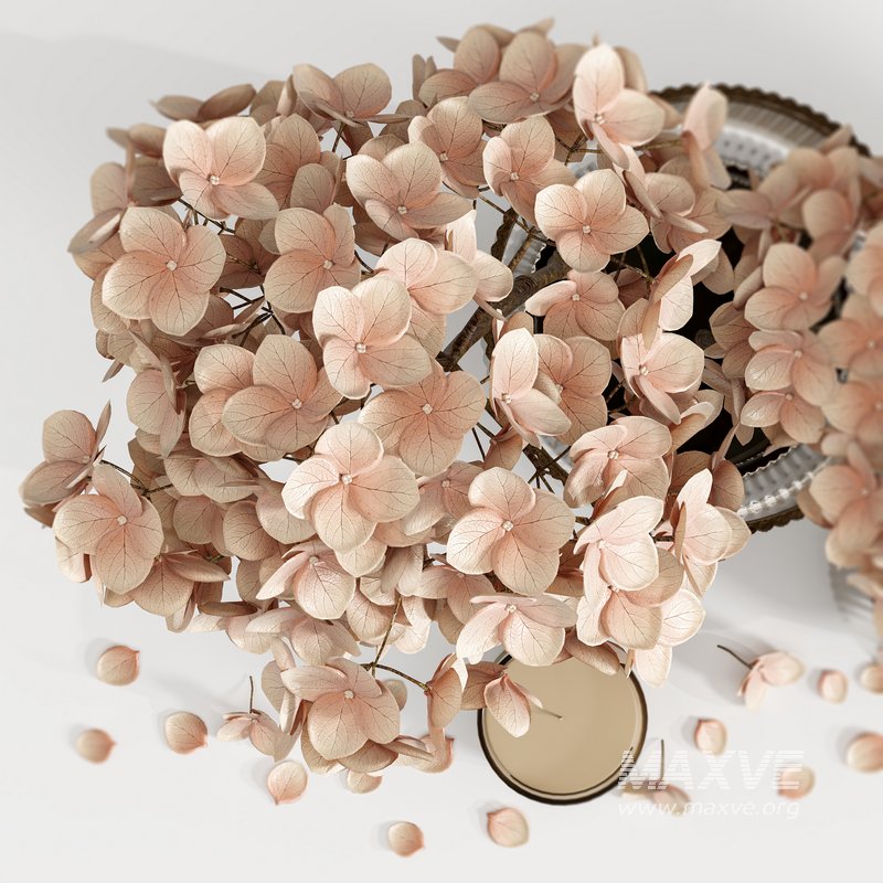 Set Bouquets 16 - Image 2