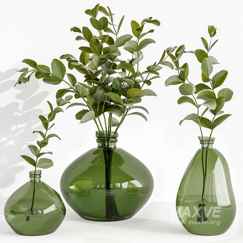 Set Bouquets eucalyptus - Image 1