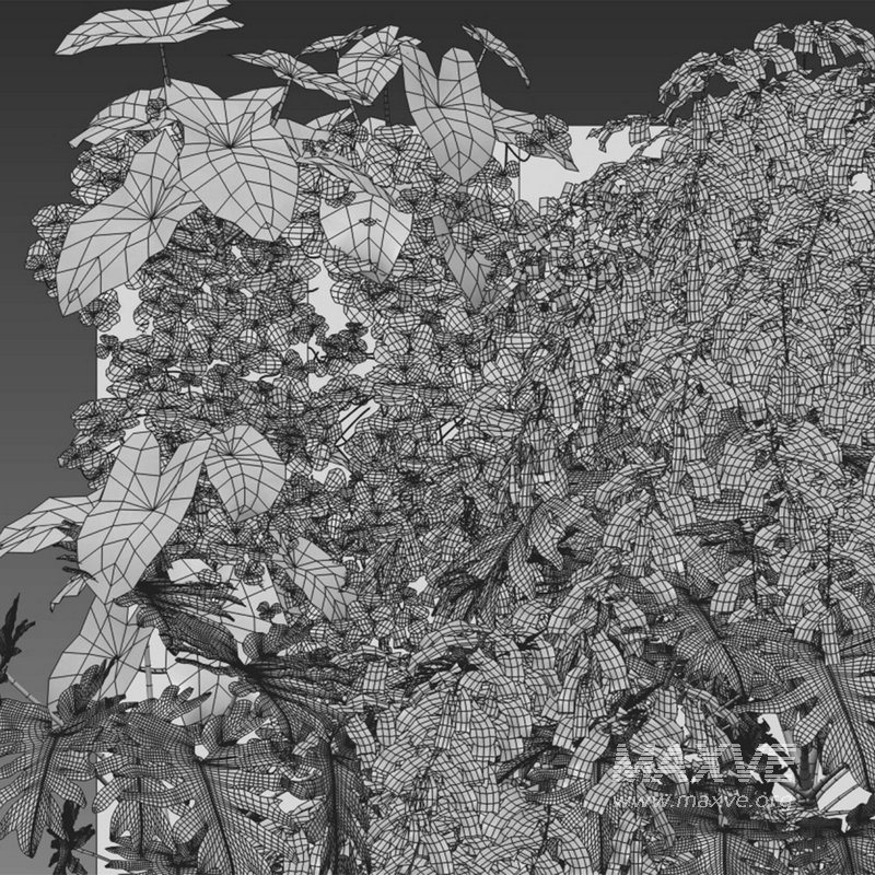 Vertical garden 20 - Image 2