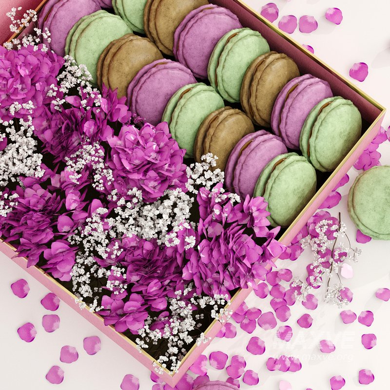 Box macarons 01 - Image 4