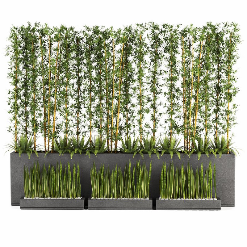 Plants In Box set-152 - Image 3