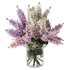 Bouquets 24 lilacs - Thumbnail 1