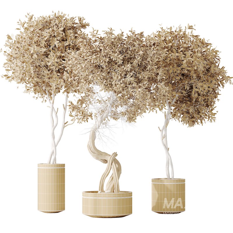 AV Indoor plants set 145 Olive Artificial Olivo Olea Tree - Image 5