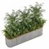 Plants In Box set-151 - Thumbnail 1