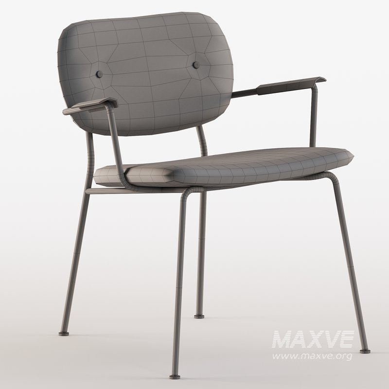 Co Lounge chair - Image 4