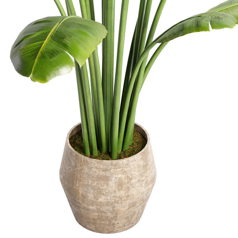 Modern Indoor Planter - Image 1