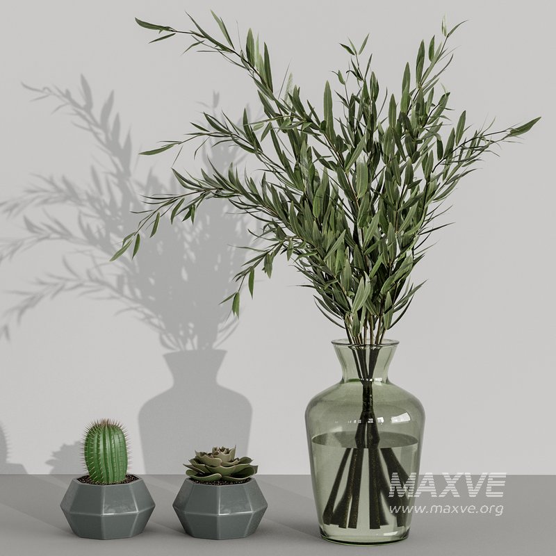 accessories smeg 10 - Image 2