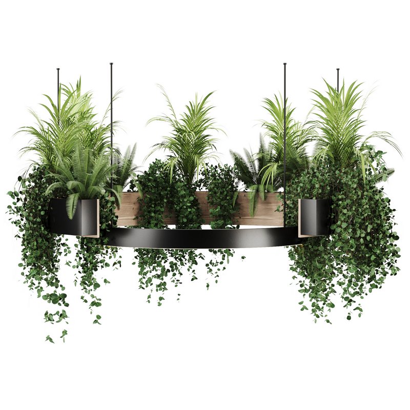 Indoorplants-Hanging plants set-83 - Image 3