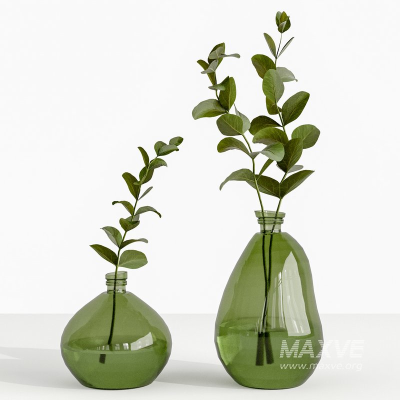 Set Bouquets eucalyptus - Image 2