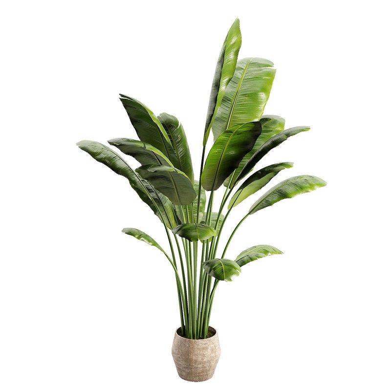Modern Indoor Planter - Image 4