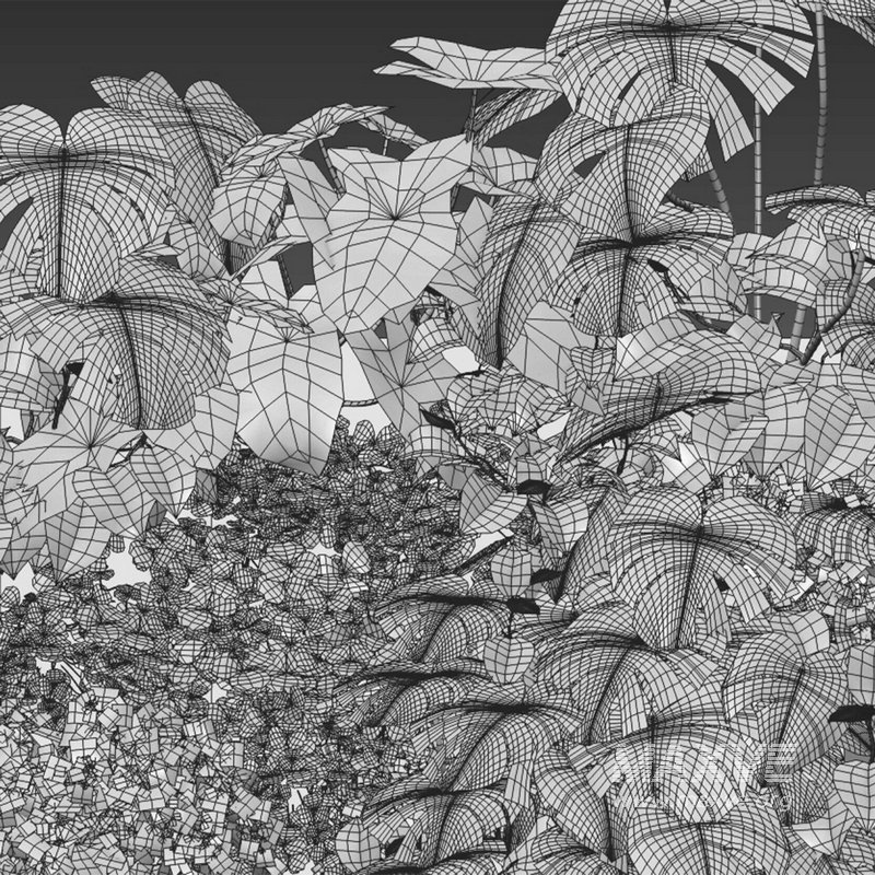 Vertical Garden 22 - Image 2