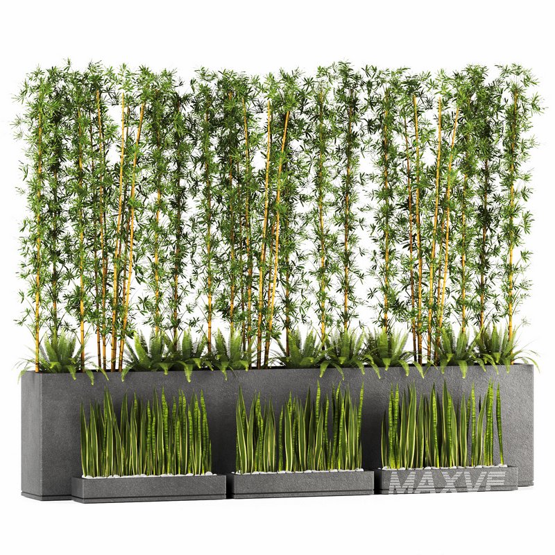 Plants In Box set-152 - Image 1