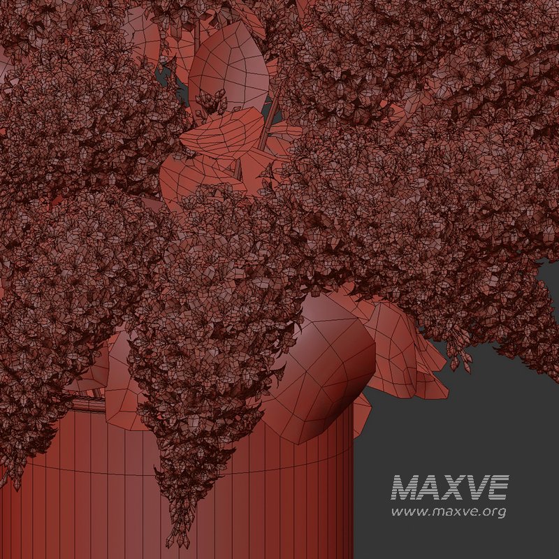 Bouquets 23 - Image 4