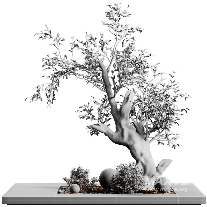 indoor plant set 31 - Image 2