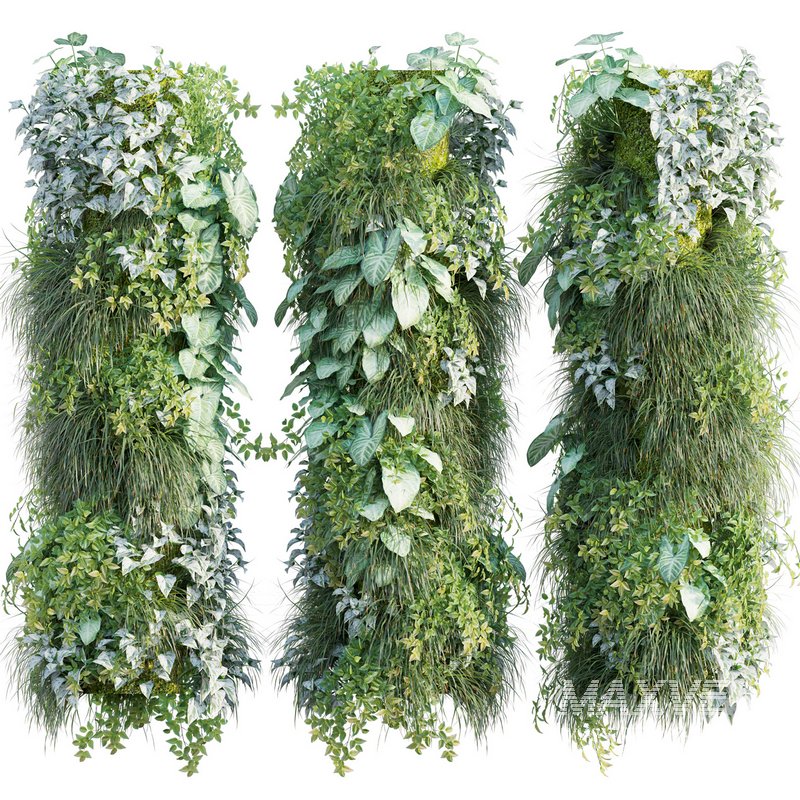 Vertical garden 24 - Image 1