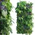 Vertical Garden 15 - Thumbnail 1