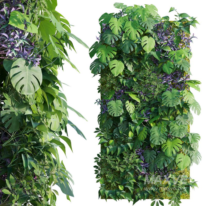 Vertical Garden 15 - Image 1