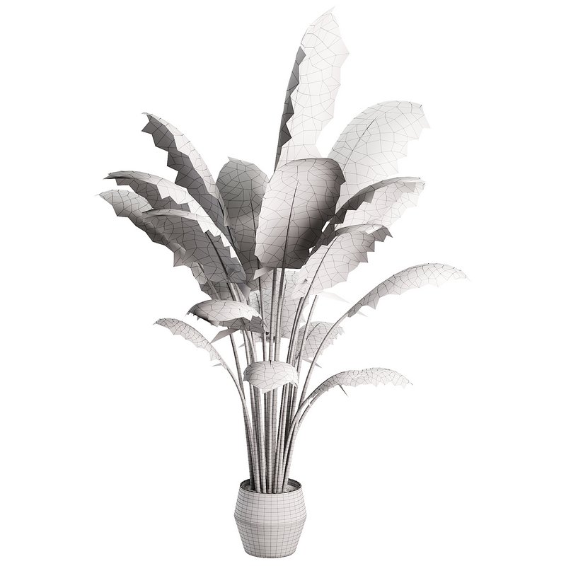 Modern Indoor Planter - Image 3