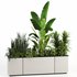 Indoorplants-Plants in Boxset150 - Thumbnail 1