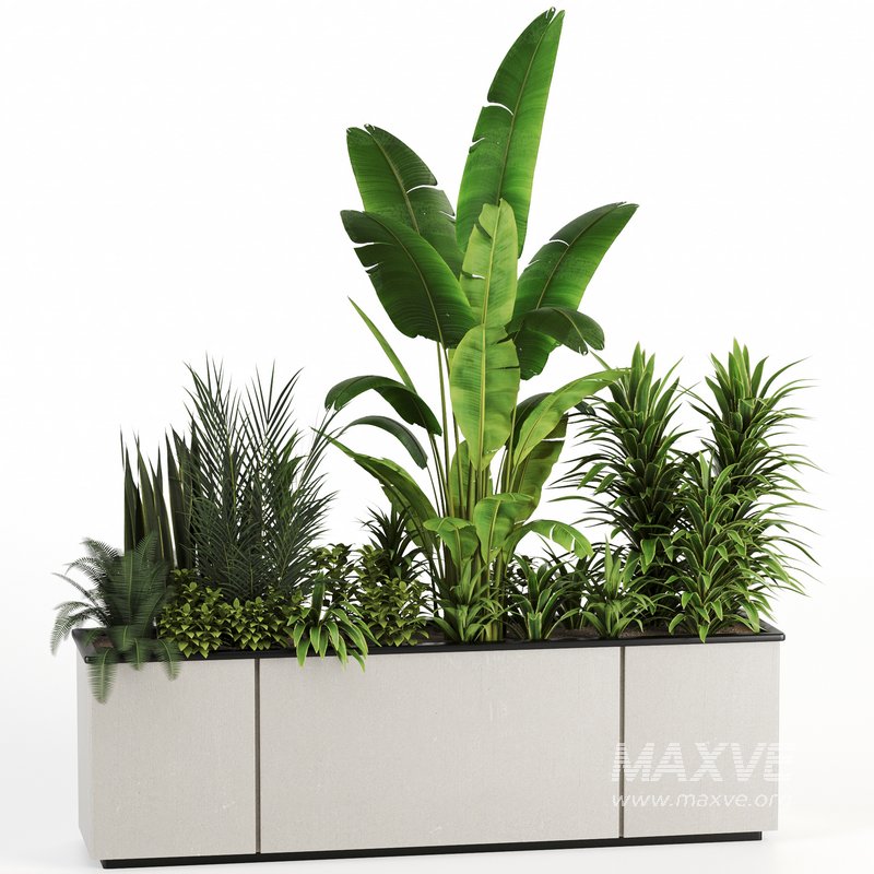 Indoorplants-Plants in Boxset150 - Image 1