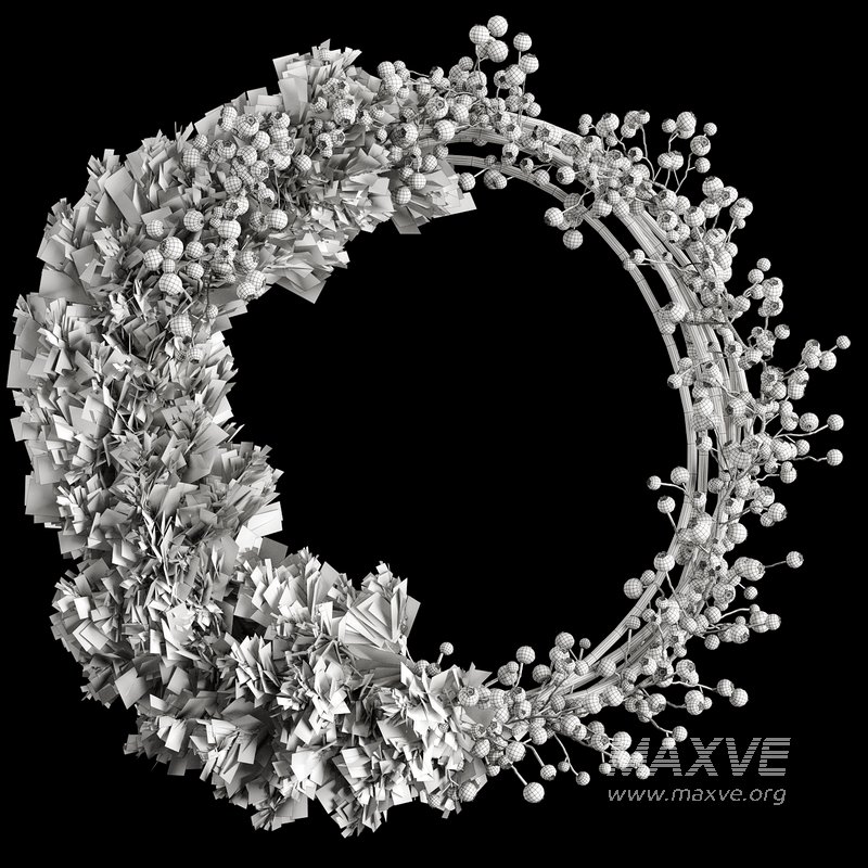 Wreath dry Christmas - Image 5