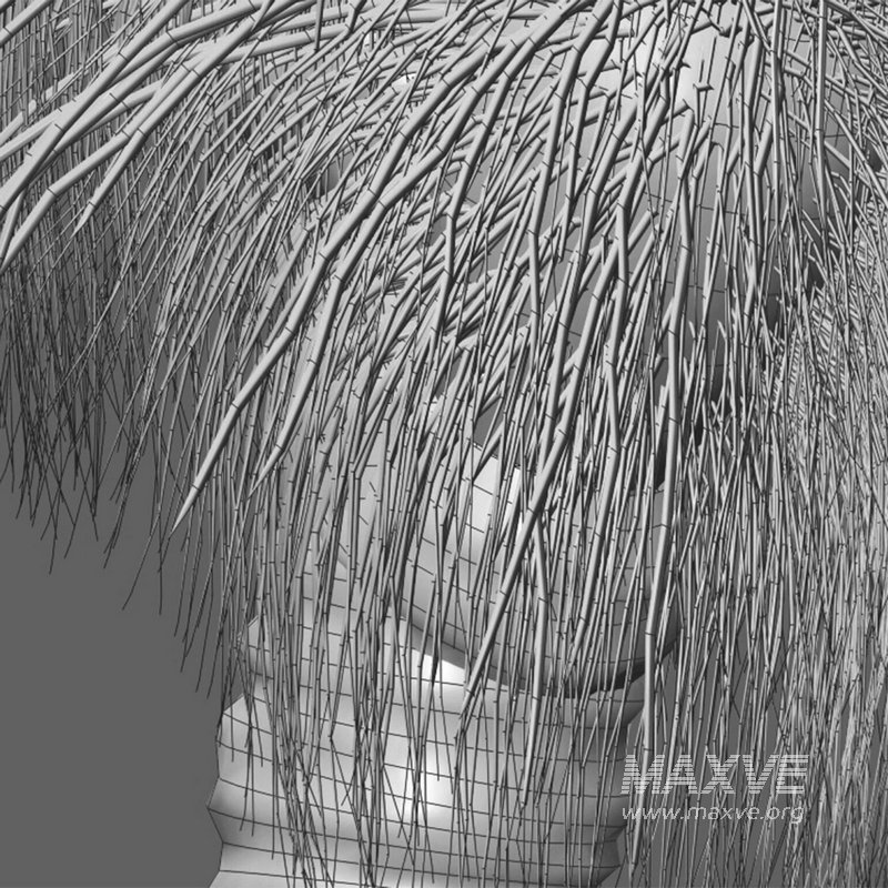 Xanthorrhoea Arborea – Grass Tree – 02 - Image 4