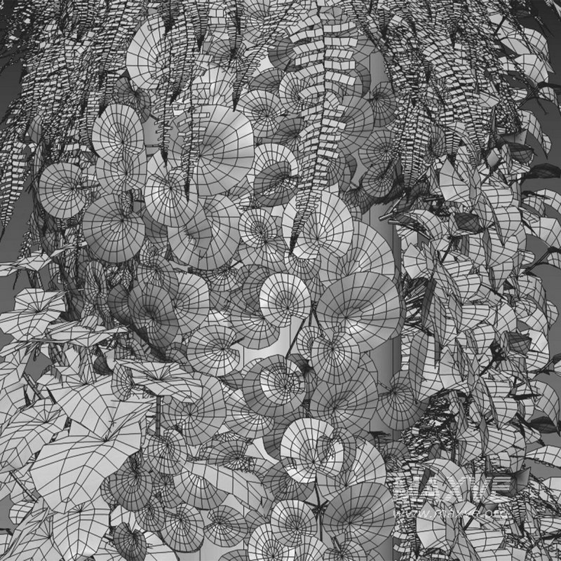 Vertical garden 25 - Image 2