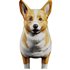Corgi - Thumbnail 4