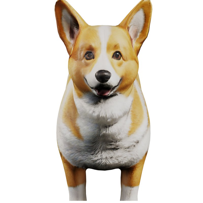 Corgi - Image 4