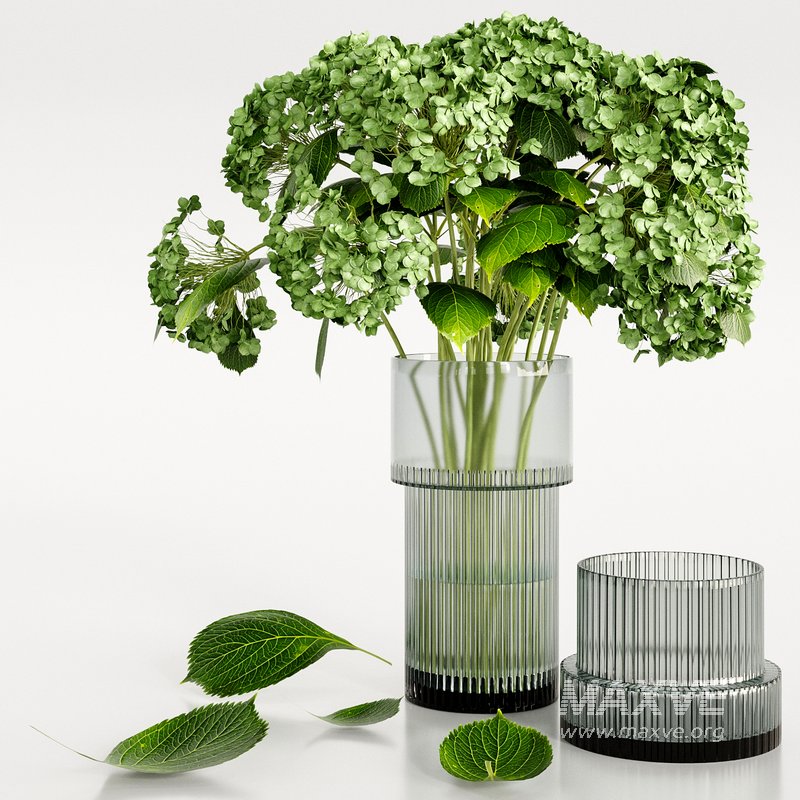 Set bouquet Hydrangea - Image 3