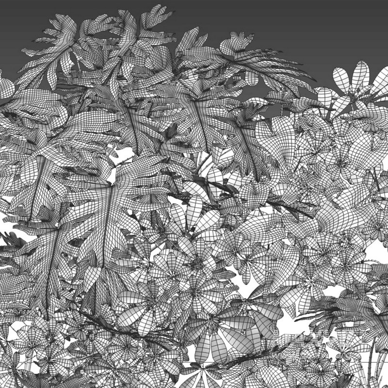 Vertical Garden 14 - Image 2