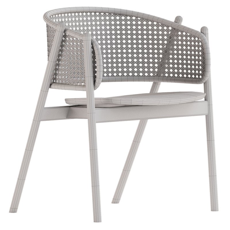 Cane Armchair - Image 5