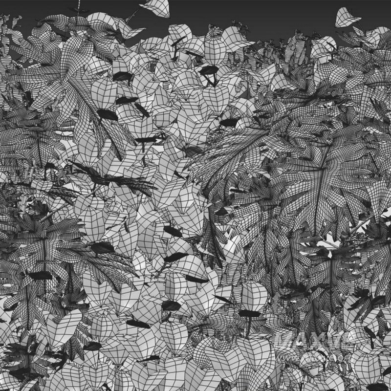 Vertical Garden 13 - Image 2