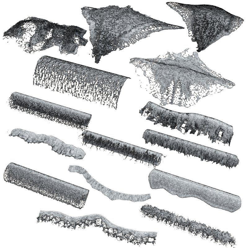 15 Wave Collection V02 - Image 17