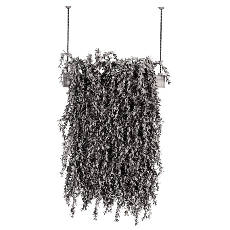 Hanging plant - Image 2