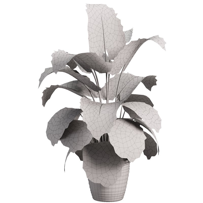 Indoor jungle - Image 1