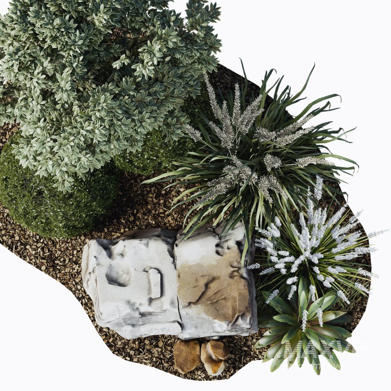 Outdoor Plant 38 - Image 3