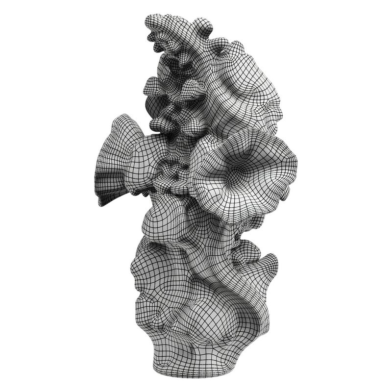 Decorative conch - Image 6