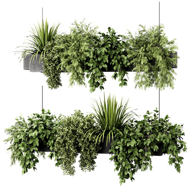 Indoorplants-Hanging plants set-86 - Image 5