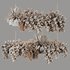 Indoorplants-Hanging plants set-86 - Thumbnail 4